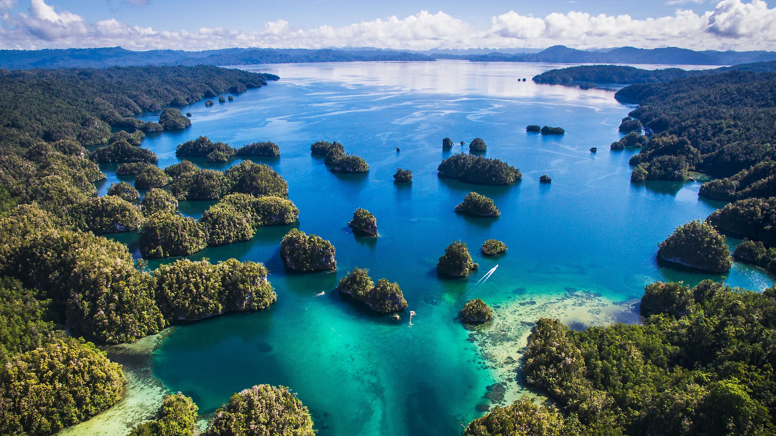 Infinite Blue Dive Travel creates luxury ethical scuba diving holidays worldwide